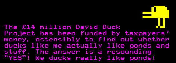 David Duck