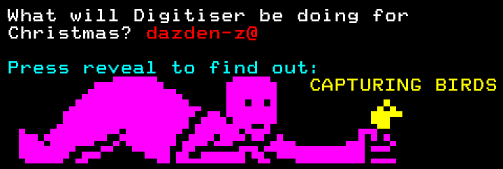 What's Digitiser doing for Christmas?